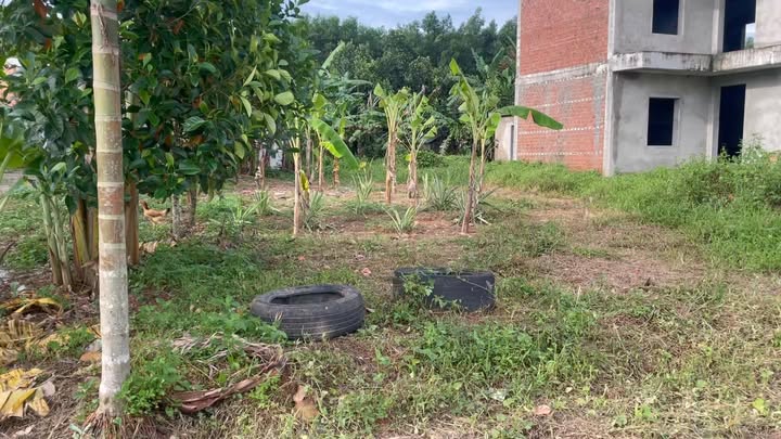 Lô đất vườn 580m² tại xã Bà Nà, giá 2 tỷ - Cơ hội đầu tư lý tưởng!