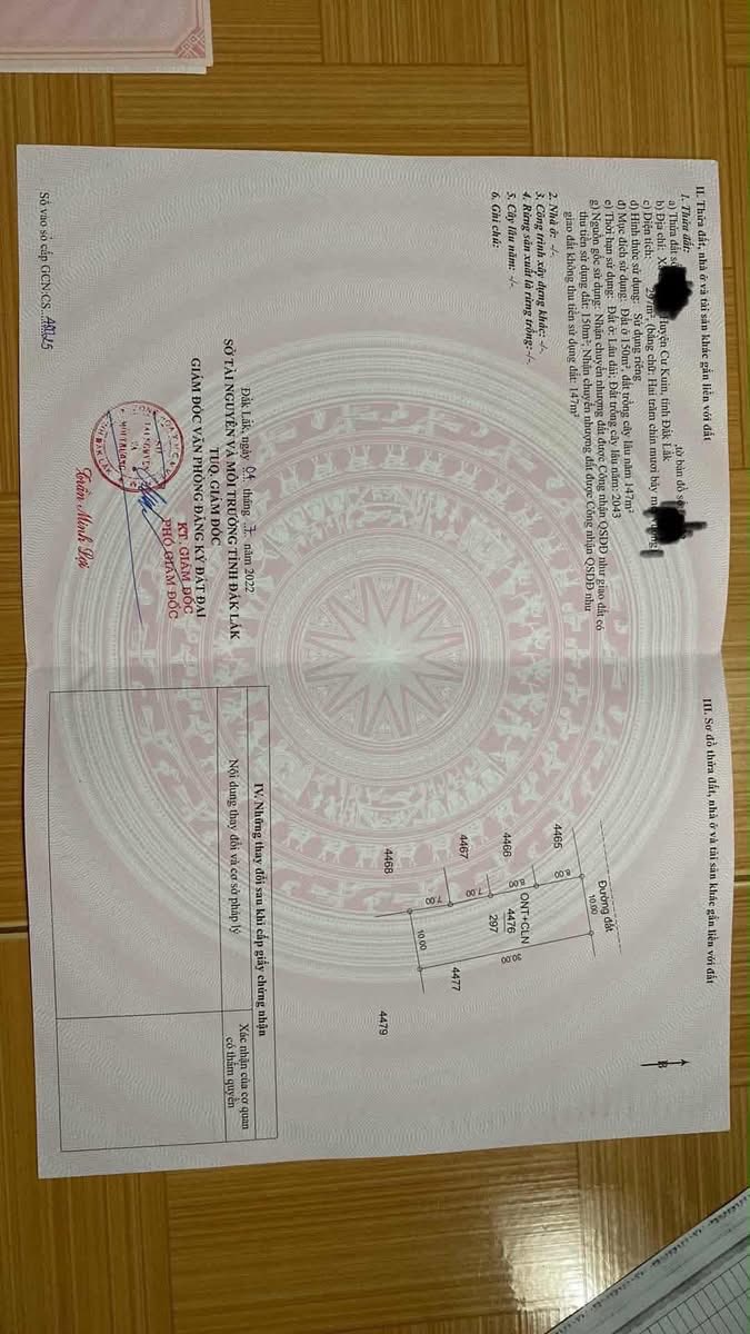 Đất nền chính chủ 300m² tại xã Ea Ktur, Đắk Lắk - Giá 820 triệu, bớt lộc cho người thiện chí!