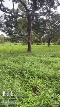 Đất nền Tân An, Buôn Ma Thuột 500m² giá 600 triệu - Cơ hội đầu tư tuyệt vời!