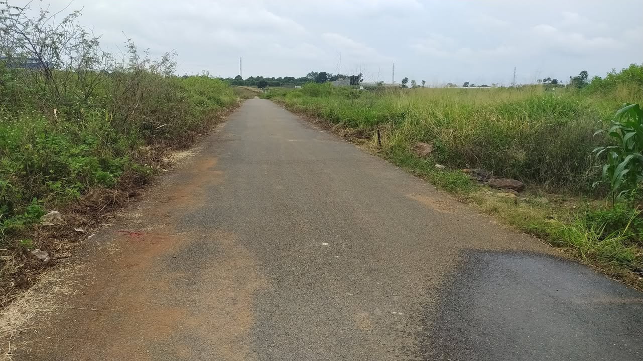 Đất thổ cư Liên Nghĩa, Đức Trọng 130m² giá 1.27 tỷ - Đầu tư sinh lời ngay!