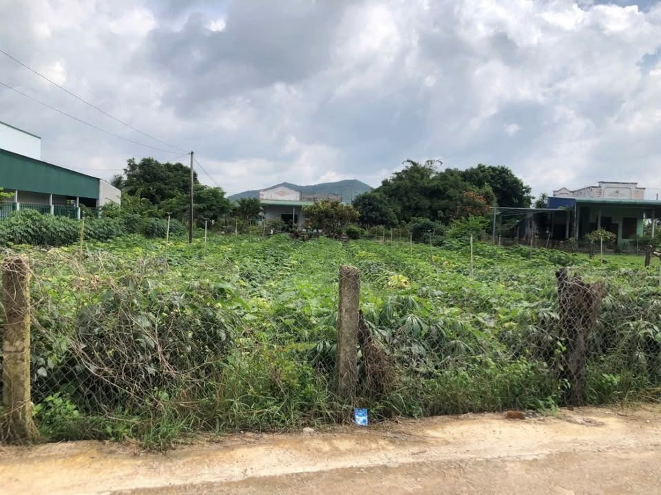 Đất nền Tân Hải, Bình Thuận 445m² giá 1.25 tỷ - Đầu tư sinh lời ngay gần biển!