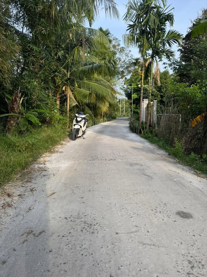 Đất nền Nhơn Nghĩa Phong Điền 25m² giá 599 triệu - Tiềm năng đầu tư sinh lời!