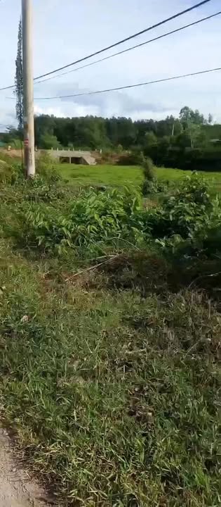 Đất nền phường Thanh Thủy, Hương Thủy 1067m² giá 4 tỷ - Cơ hội đầu tư hấp dẫn!