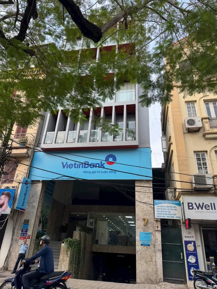 Mặt phố Nguyễn Huy Tự, quận Hai Bà Trưng 201m² giá 93 tỷ - Lô góc kinh doanh sầm uất!