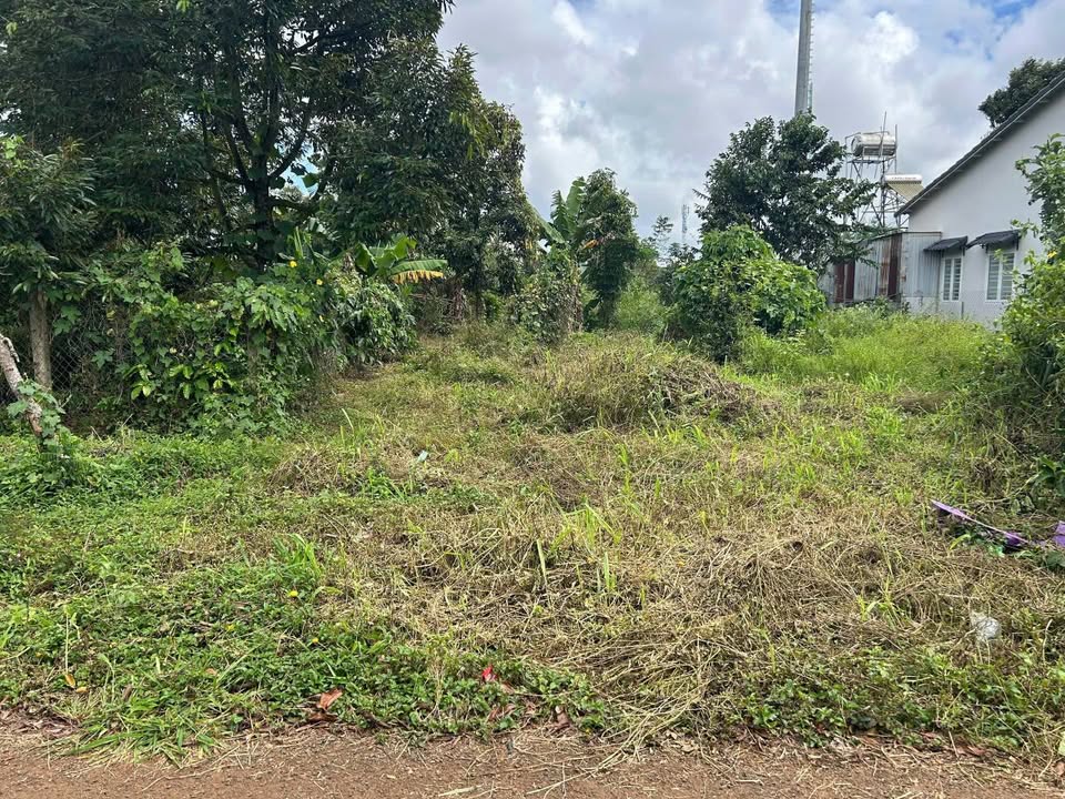 Đất mặt tiền Vành Đai QL14-26, phường Tân An, 267m² giá 2.29 tỷ - Đầu tư sinh lời!