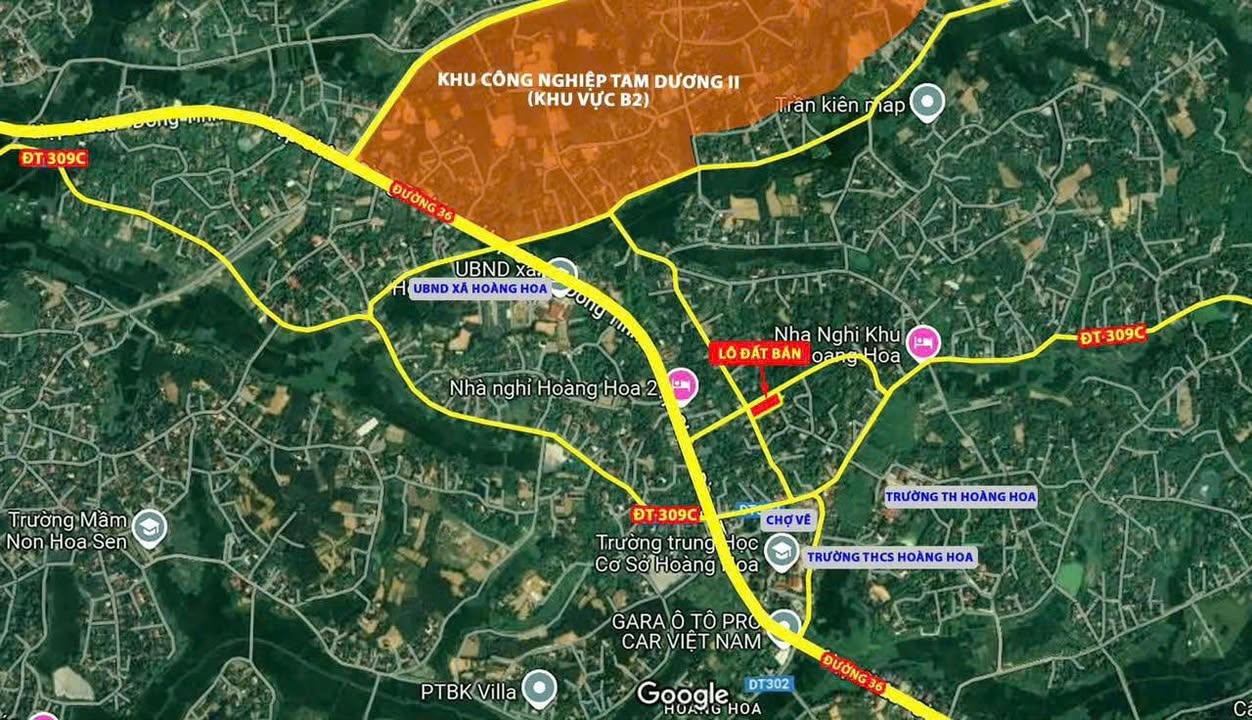 Đất nền Lô góc Hoàng Hoa, Tam Dương 102.8m² giá 900 triệu - Đầu tư sinh lời ngay!