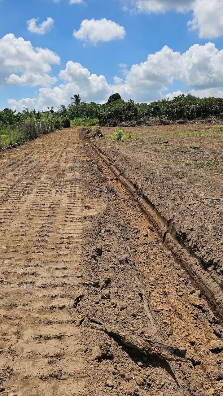 Đất vườn 1ha4 tại Cư Ni, Ea Kar - Chỉ 80 triệu, đầu tư sinh lời ngay!