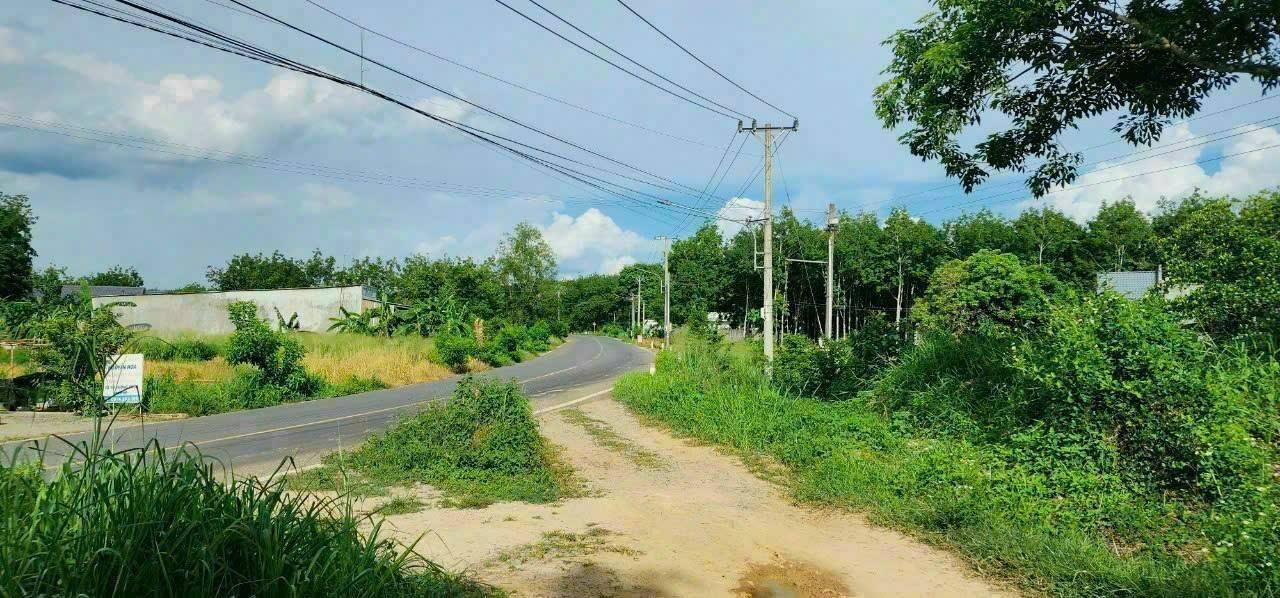 Đất Phước Hòa, Phú Giáo 47.523m² giá 70 tỷ - Mặt tiền đường DH515 rộng rãi