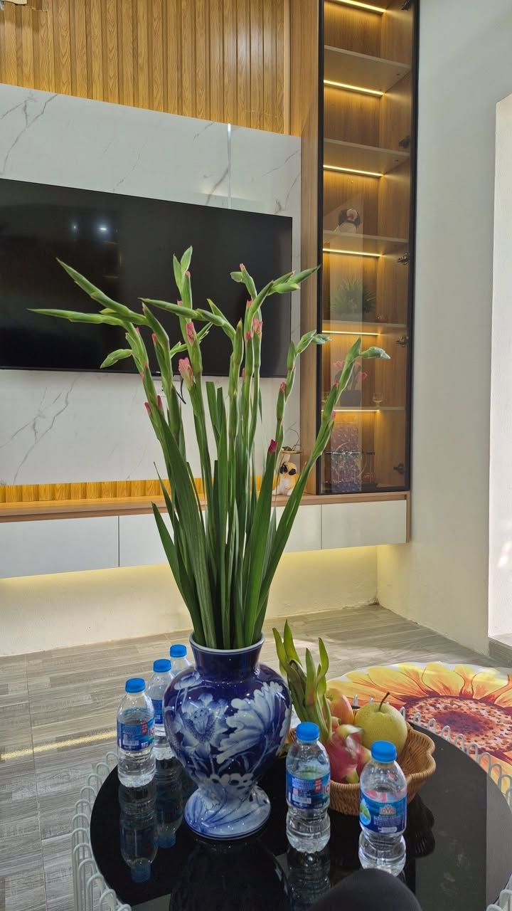 Căn hộ TT Đền Lừ, Hoàng Mai, 49m² giá chỉ 3 tỷ - Sẵn sàng giao dịch!