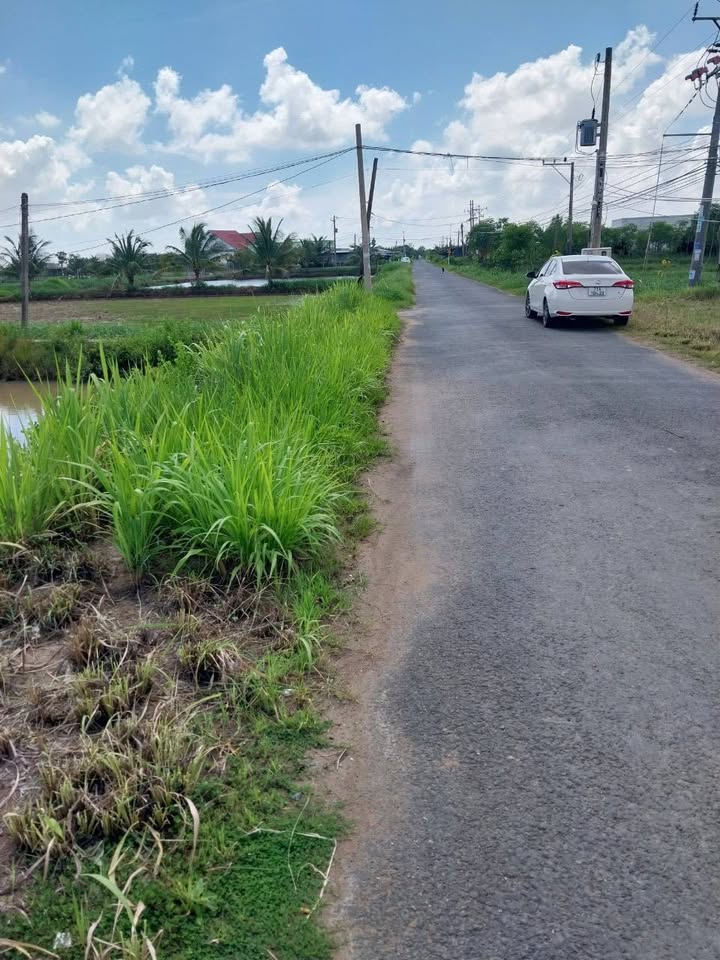 Đất mặt tiền huyện lộ 07, Định Trung, Bến Tre 957m² - Sổ đỏ chính chủ