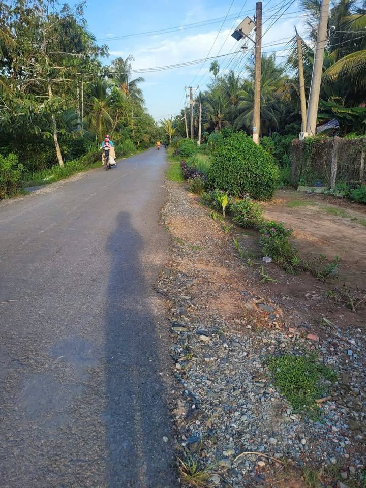 Đất mặt tiền lộ nhựa Thạnh Phú Đông 1200m² giá 2.5 tỷ - Thích hợp kinh doanh!