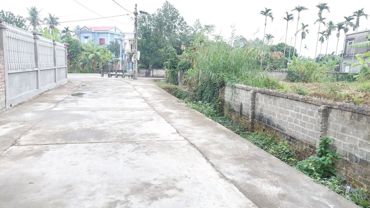 Đất nền lô góc Cẩm Chế 192m² giá thỏa thuận - Vị trí đẹp đầu tư sinh lời!