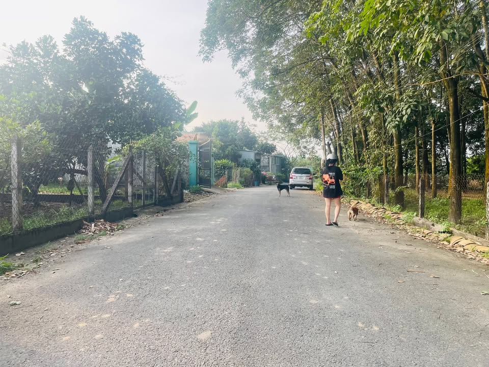 Đất nền Định Hòa Bình Dương 150m² giá 2.2 tỷ - Mặt tiền đường nhựa thuận lợi!