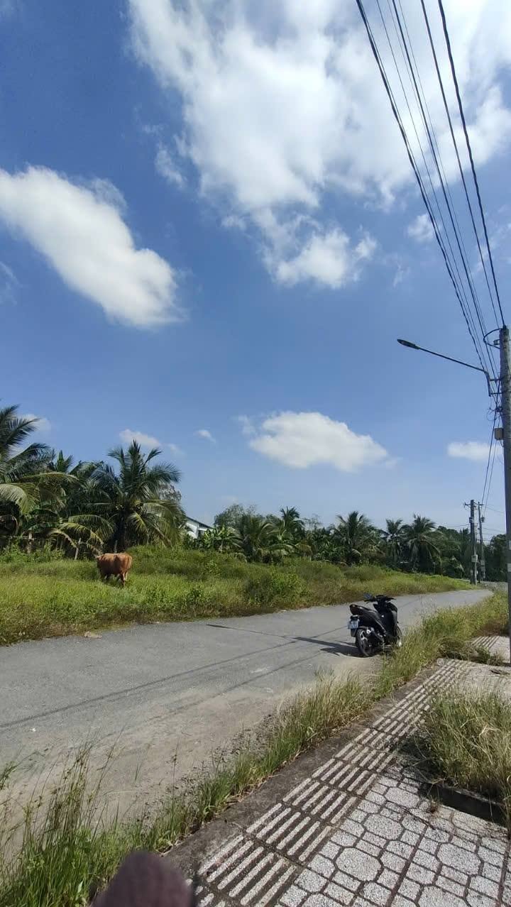 Đất nền Phước Hậu, Vĩnh Long 310m² giá chỉ 7.5 triệu - Phong thủy tốt, hướng phát triển!