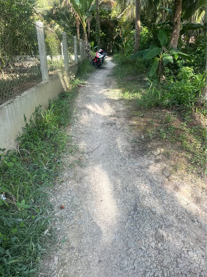 Đất nông nghiệp Hòa Hiệp 3000m² giá 525 triệu - Cơ hội đầu tư hấp dẫn!