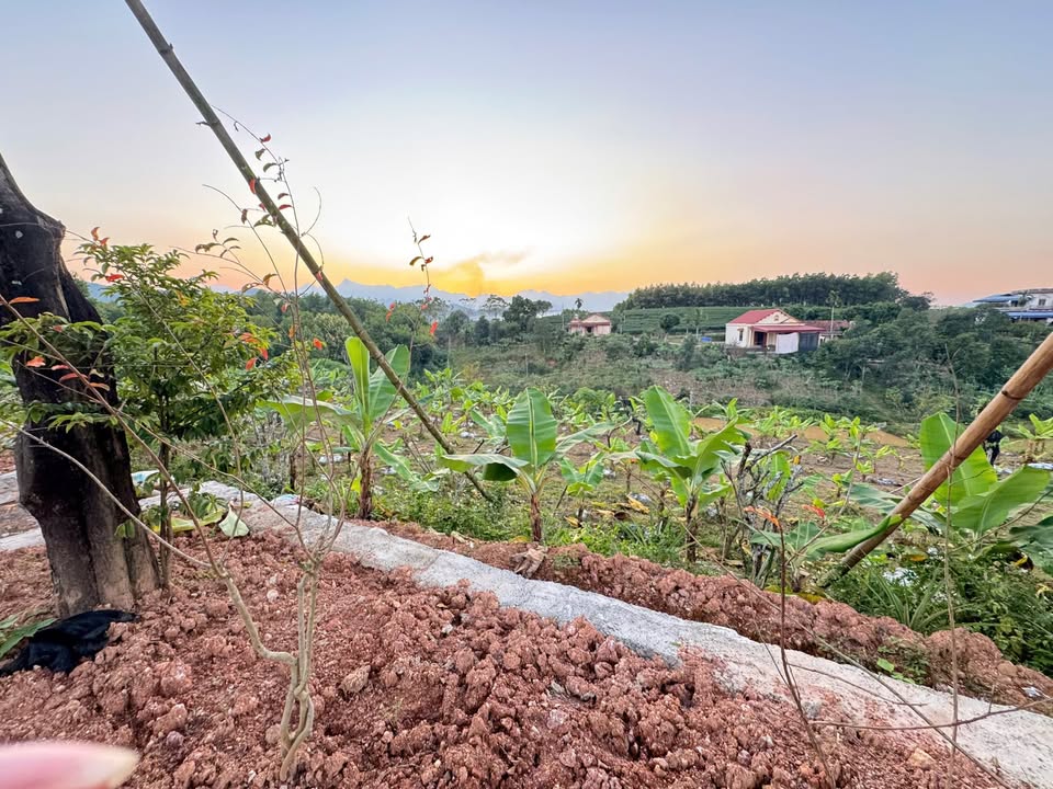 Đất thổ cư Phúc Trìu Thái Nguyên 5400m² giá 8 tỷ - Cơ hội đầu tư vàng!