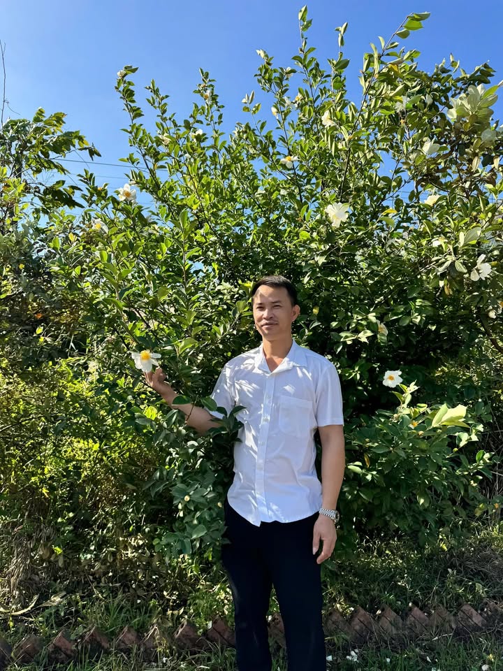 Đất nền liền kề tại thôn 7 Quảng Long 175m² - Cơ hội đầu tư hấp dẫn!