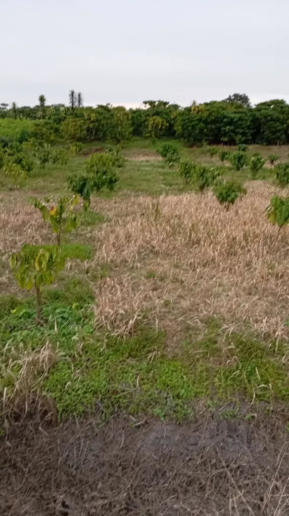 Đất nền phường Lộc Tiến, Bảo Lộc 550m² giá 1.1 tỷ - Khu dân cư đông đúc!