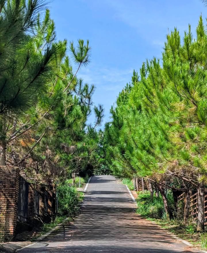 Đất nền Hẻm 54 Hải Thượng Lãn Ông, Bảo Lộc 247m² giá 2.8 tỷ - Sổ đỏ chính chủ!