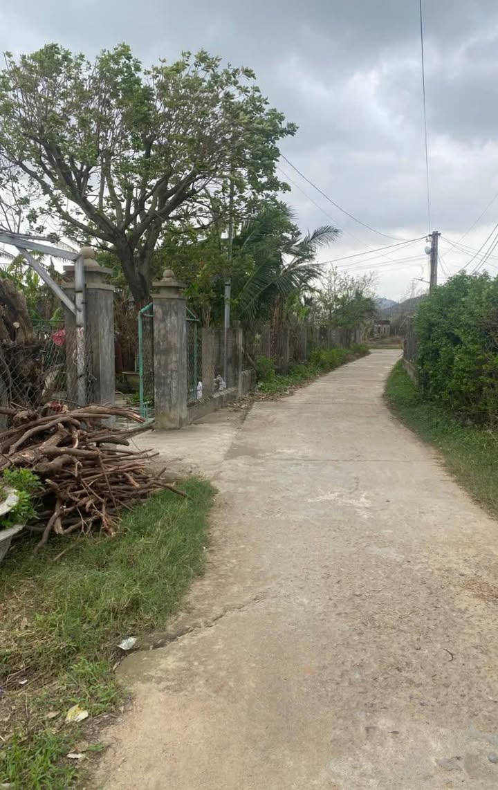 Lô đất thổ cư 155m² tại thôn Xuân Mỹ, giá thương lượng - Cơ hội đầu tư tuyệt vời!