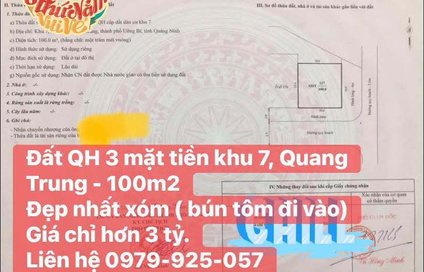 Đất nền khu phố 7, phường Quang Trung, 100m² giá chỉ 3 tỷ - Cơ hội đầu tư hấp dẫn!