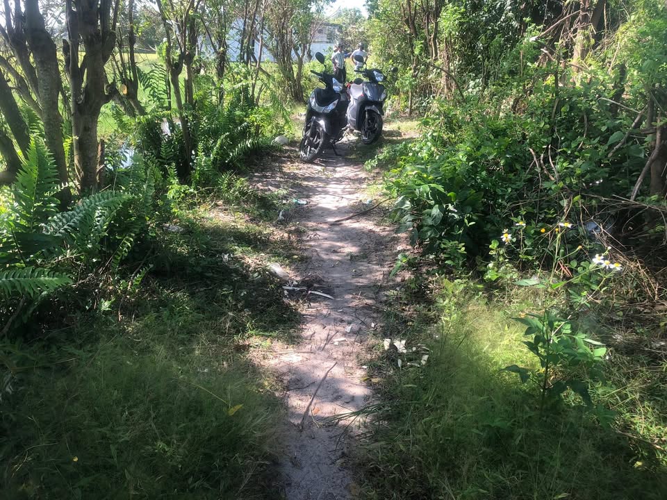 Đất thổ cư Phước Hội - La Gi 110m² giá chỉ 700 triệu - Cơ hội đầu tư hấp dẫn!