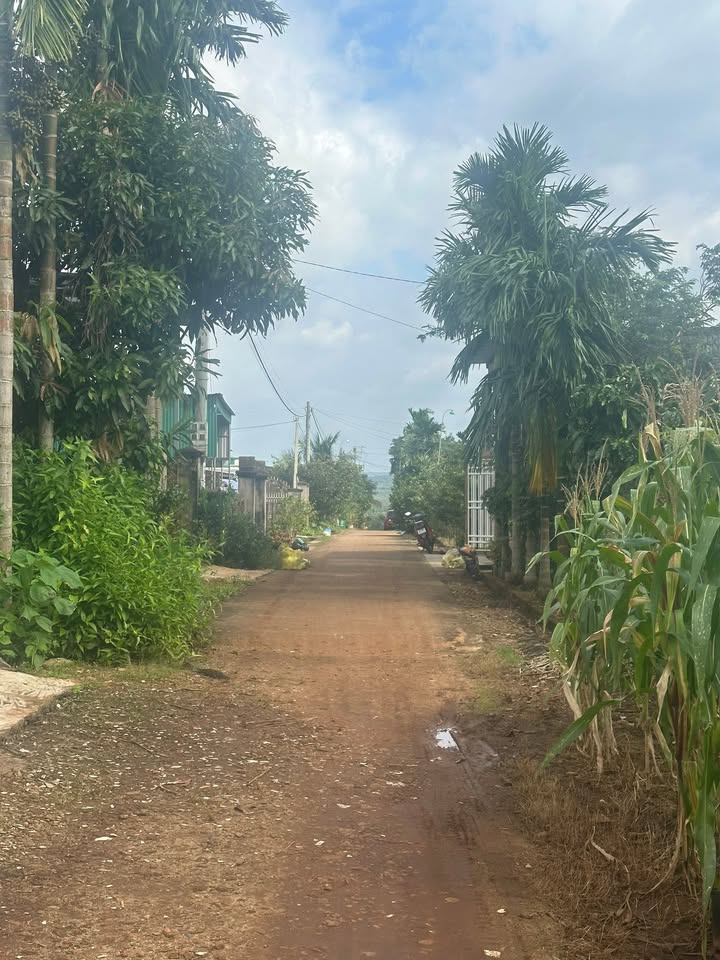 Đất nền Quảng Tiến 416m² giá 4 tỷ - Tiềm năng sinh lời cao!