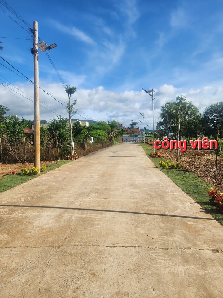 Đất nền Phú Hội, Đức Trọng 85m² giá 1.25 tỷ - Mặt tiền kinh doanh tiềm năng!