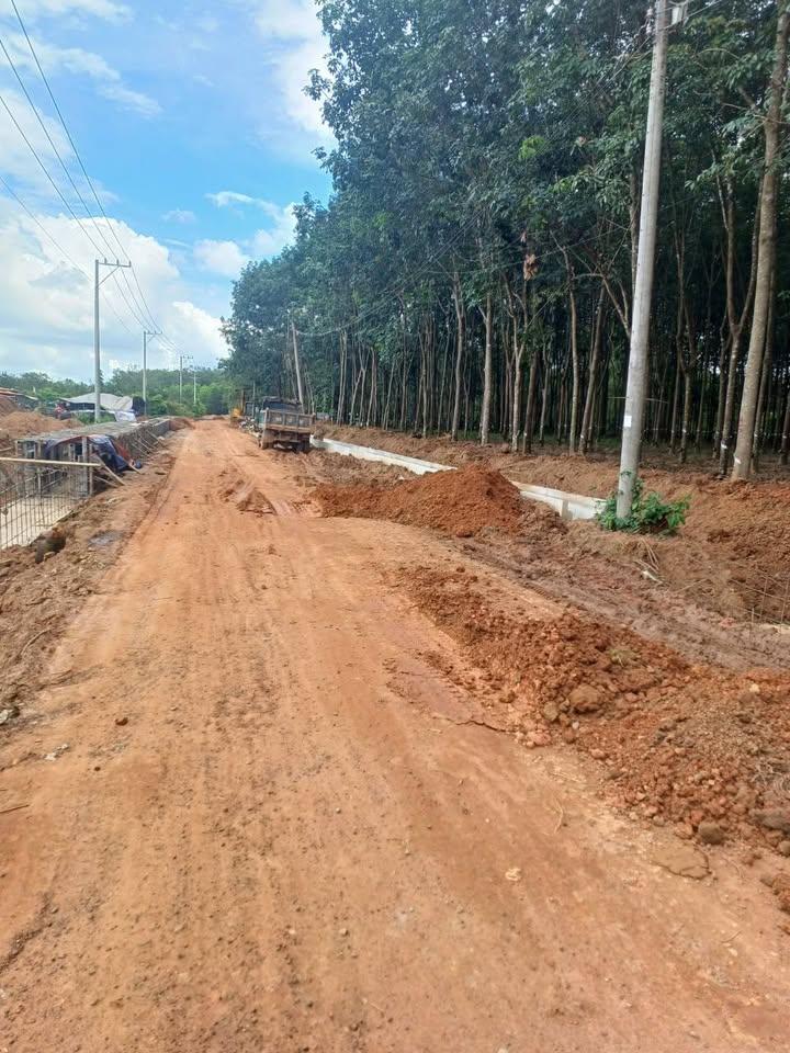 Đất nền đường Đất Cuốc, Bắc Tân Uyên 1200m² giá 5 tỷ - Cơ hội đầu tư hấp dẫn!