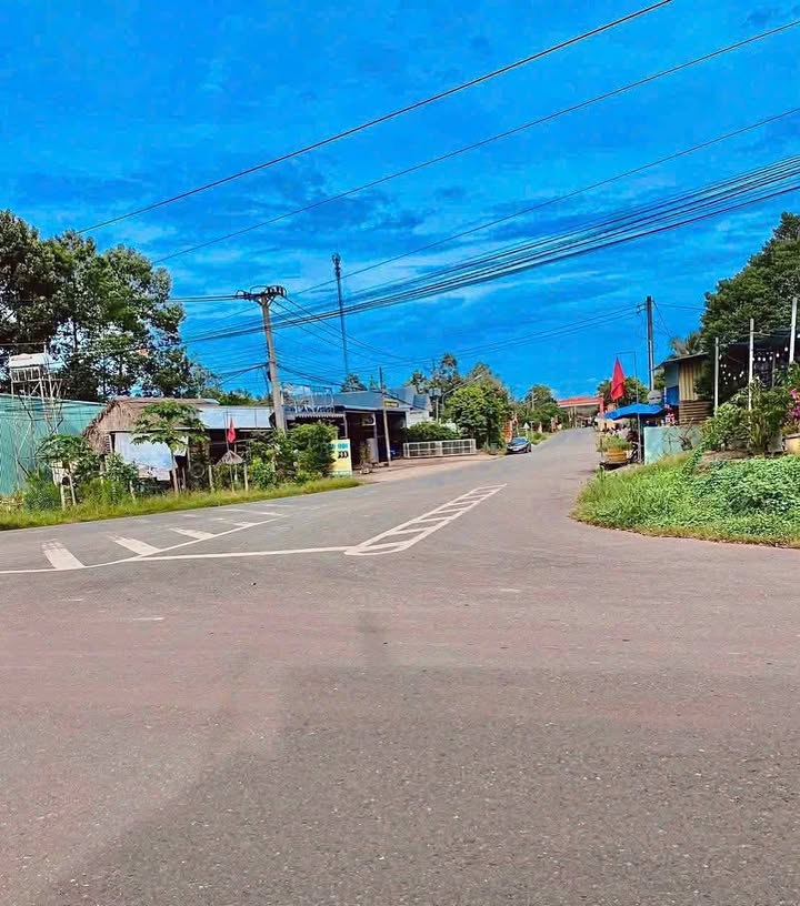 Đất nền An Linh, Phú Giáo, Bình Dương 560m² - Đầu tư sinh lời ngay!