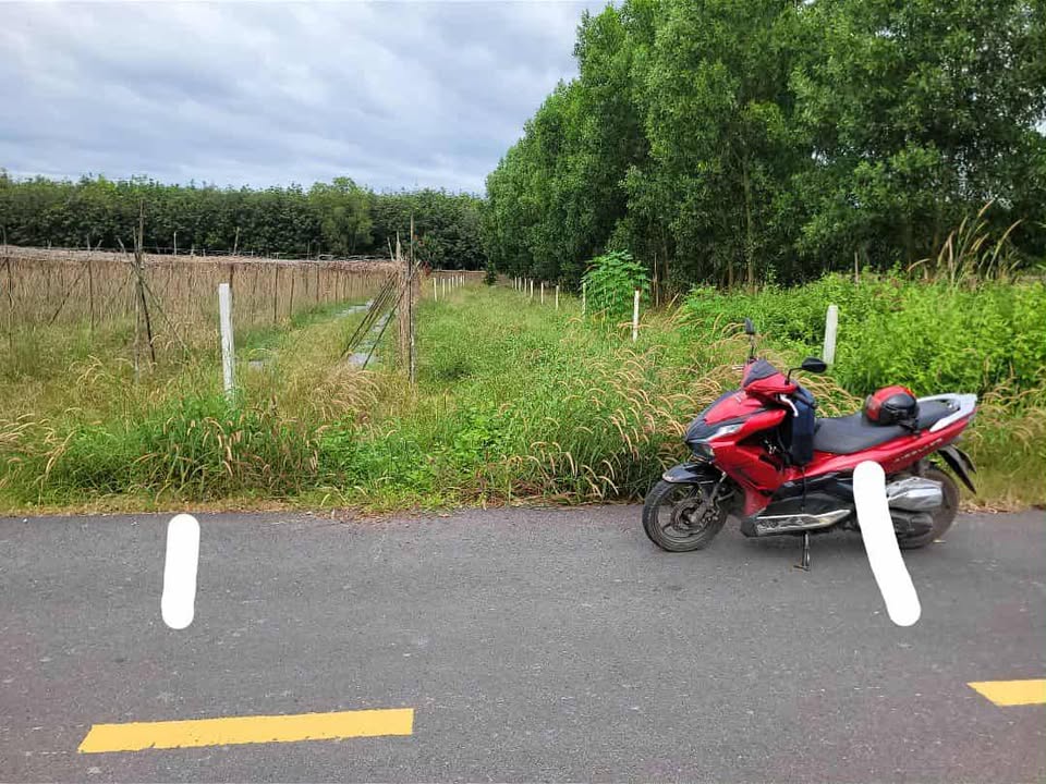 Đất nền Lai Uyên Bàu Bàng 540m² giá 900 triệu - Cơ hội đầu tư hấp dẫn!