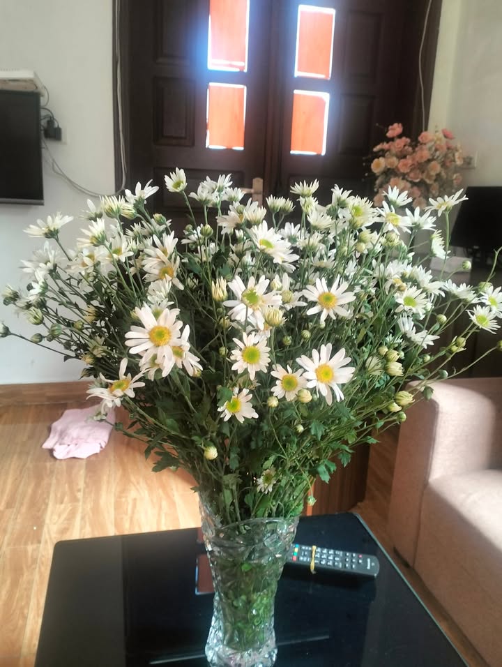 Đất lô góc Phù Liễn Kiến An 56m² - Chính chủ bán gấp!