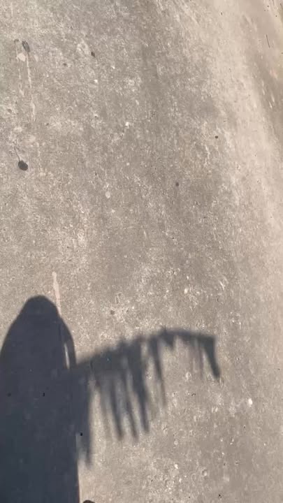 Đất thổ cư 400m² khu phố Nghĩa - Lục Ngạn giá chỉ 1.15 tỷ - Cơ hội đầu tư tuyệt vời!