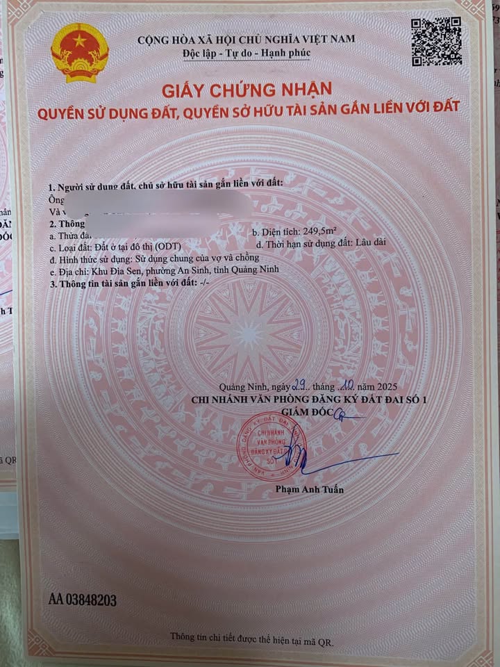 Đất nền An Sinh Đông Triều 250m² giá chỉ vài trăm triệu - Đầu tư sinh lời nhanh!