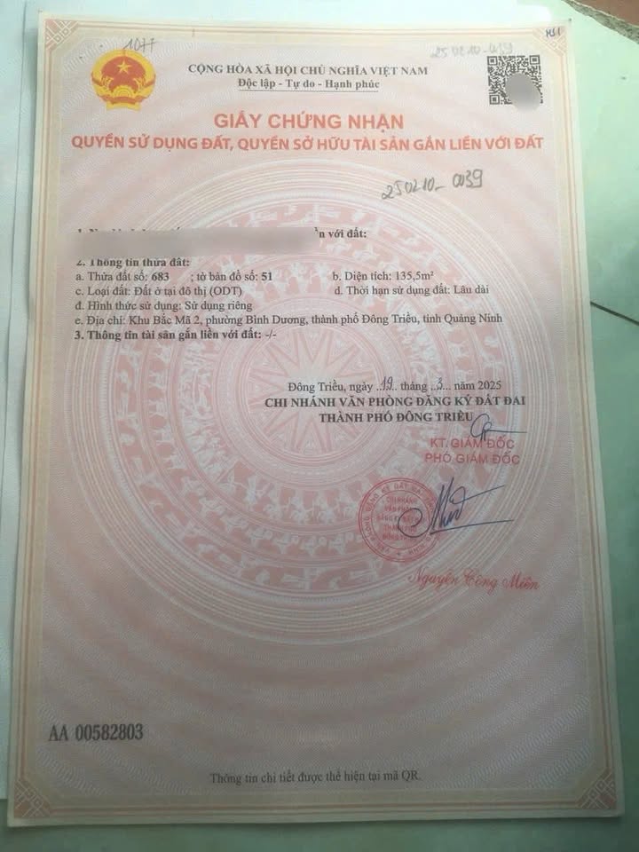 Đất nền An Sinh 135,5m² giá 1 tỷ - Mặt tiền kinh doanh đẹp!