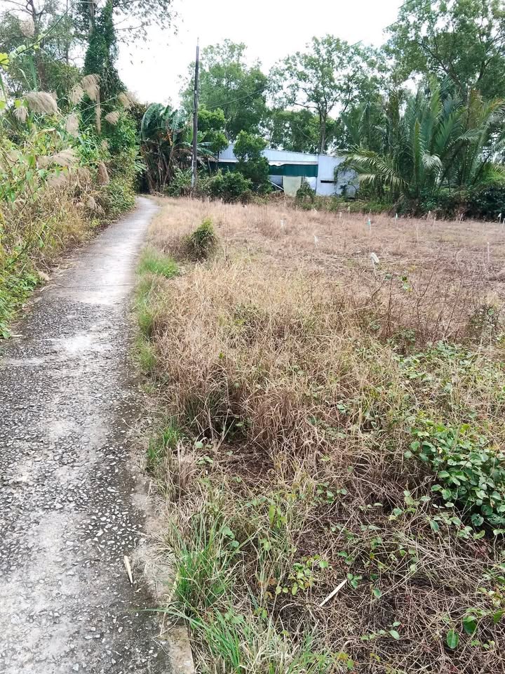 Đất nền Thạnh Lộc, Châu Thành, Kiên Giang 160m² giá chỉ 200 triệu - Đầu tư sinh lời ngay!