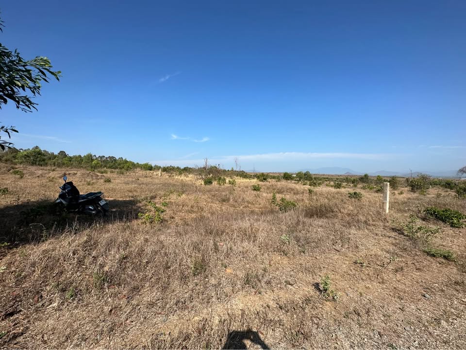 Đất CLN Tiến Thành 5ha chỉ 8 tỷ - Cơ hội đầu tư hấp dẫn!