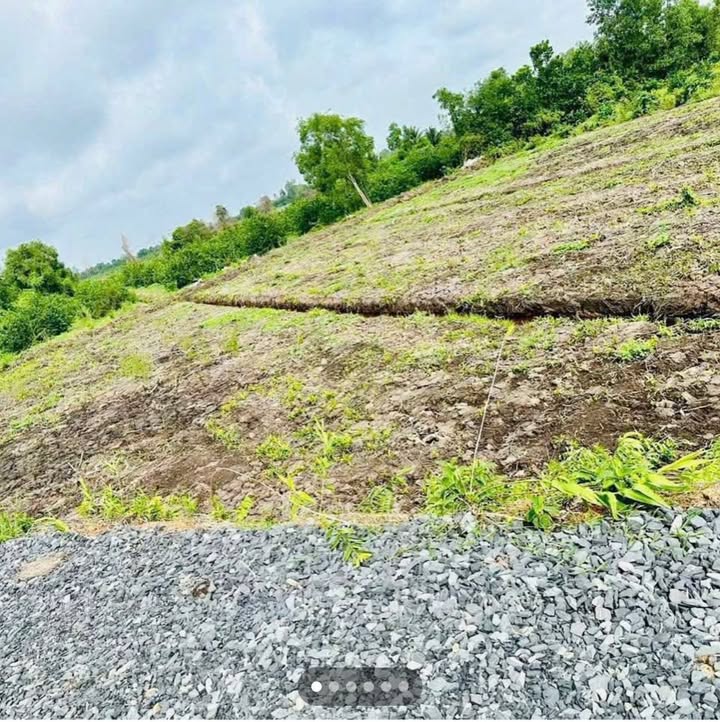 Đất vườn xã Thạnh Hòa, Bến Lức 500m² giá 365 triệu - Cơ hội đầu tư tuyệt vời!