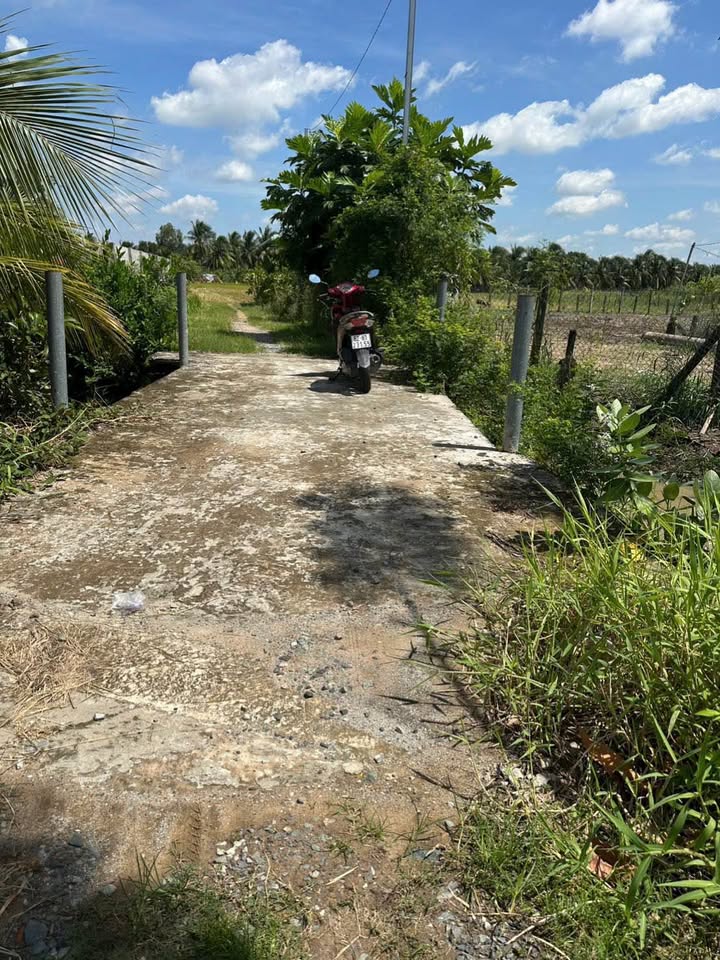 Đất thổ cư 5.267m² xã An Vĩnh Ngãi, TP Tân An - Giá chỉ 10.5 tỷ!