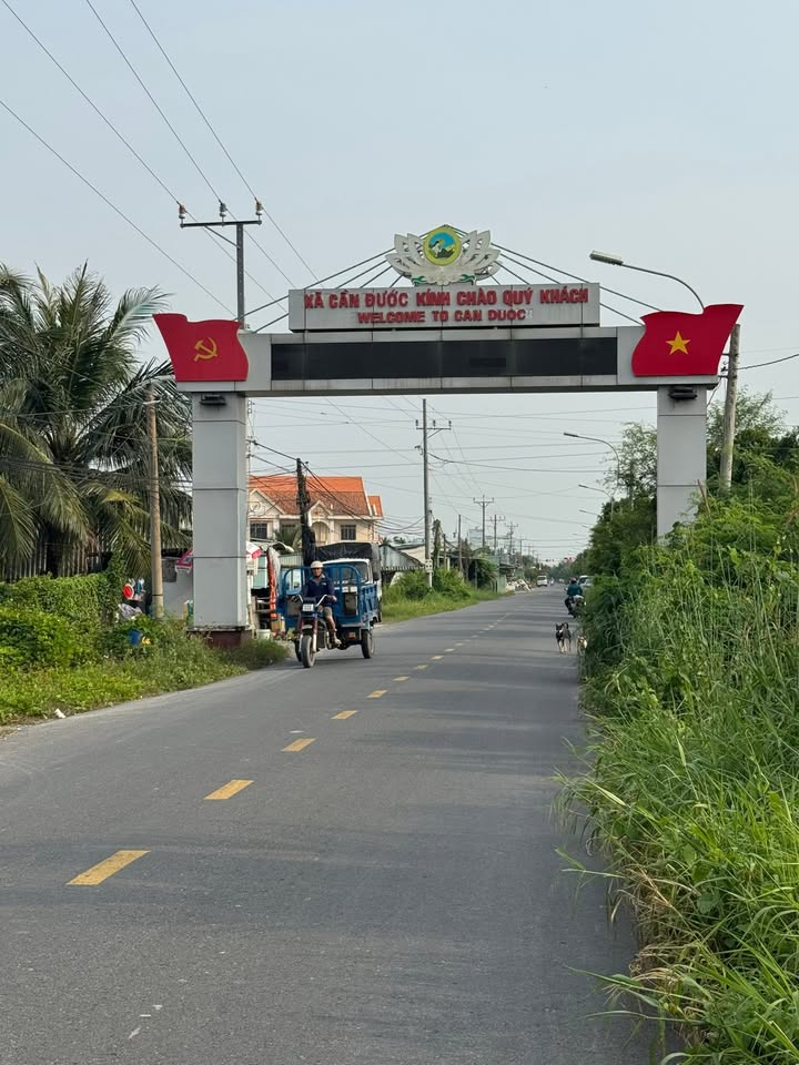 Nhà cấp 4 Cần Đước, Long An 118.6m² giá 1.3 tỷ - Sân vườn thoáng mát!