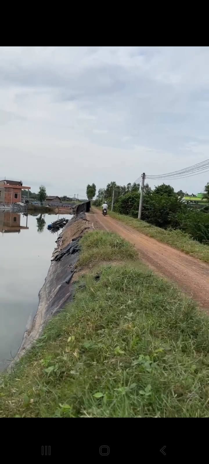 Đất lúa 2000m² tại xã Long Hựu Tây, Cần Đước - Giá chỉ 540 triệu