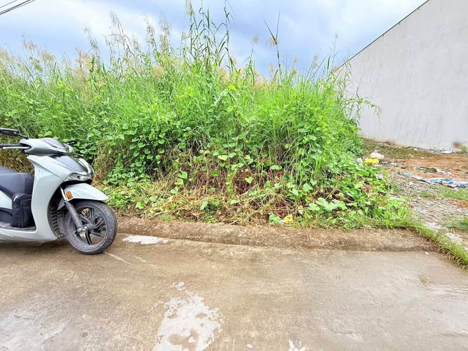 Đất thổ cư Nhơn Thạnh Trung 130m² giá 800 triệu - Đường ô tô tới đất!