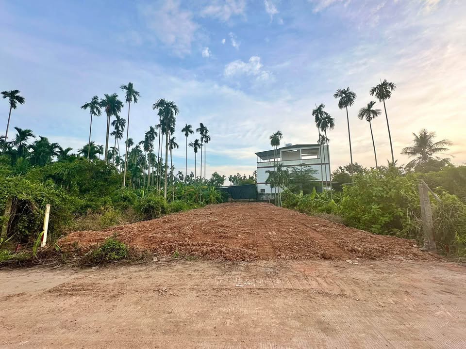 Đất mặt tiền An Hà 1, Tư Nghĩa 150m² giá 1.05 tỷ - Đầu tư sinh lời ngay!