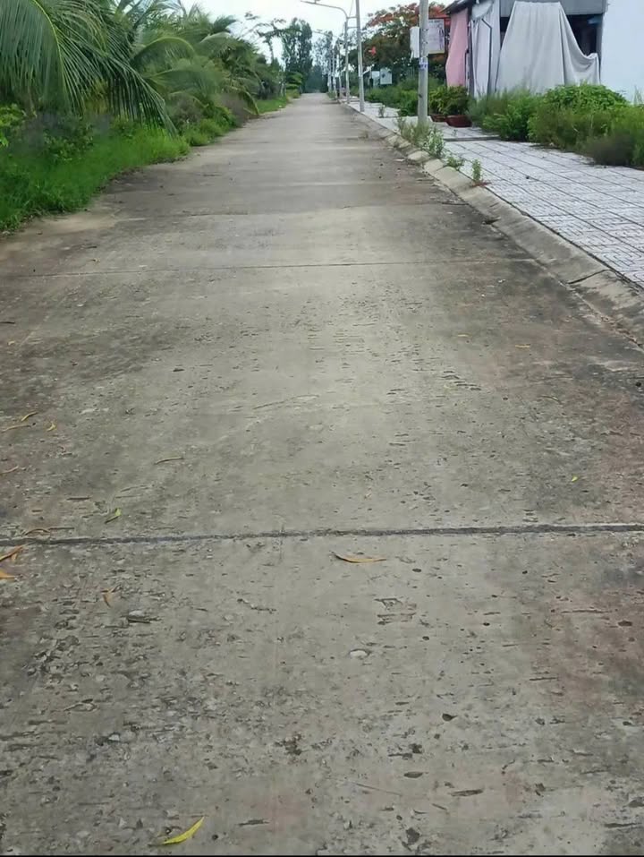 Đất nền Bình Tấn, Thanh Bình, Đồng Tháp 100m² - Pháp lý rõ ràng, giá chỉ 300 triệu!