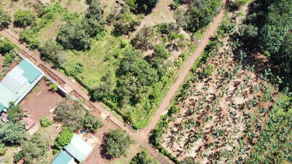 Đất nền lô góc 2 mặt tiền tại Ia Krai, Gia Lai 530m² chỉ 200 triệu - Cơ hội đầu tư tuyệt vời!