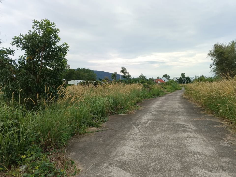 Đất nền Suối Đá, Cửa Dương 500m² giá 3.6 tỷ - Đường rộng 6m, đầu tư sinh lời!