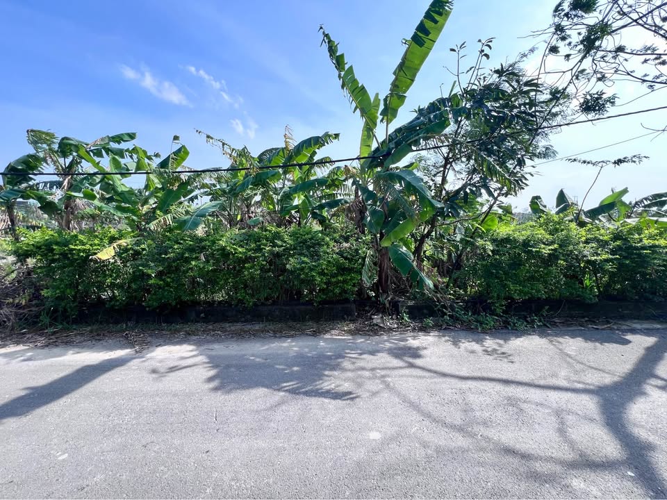 Đất lối 3 đường Quang Trung, Thạch Hạ 198m² giá 2 tỷ - Cơ hội đầu tư lý tưởng!