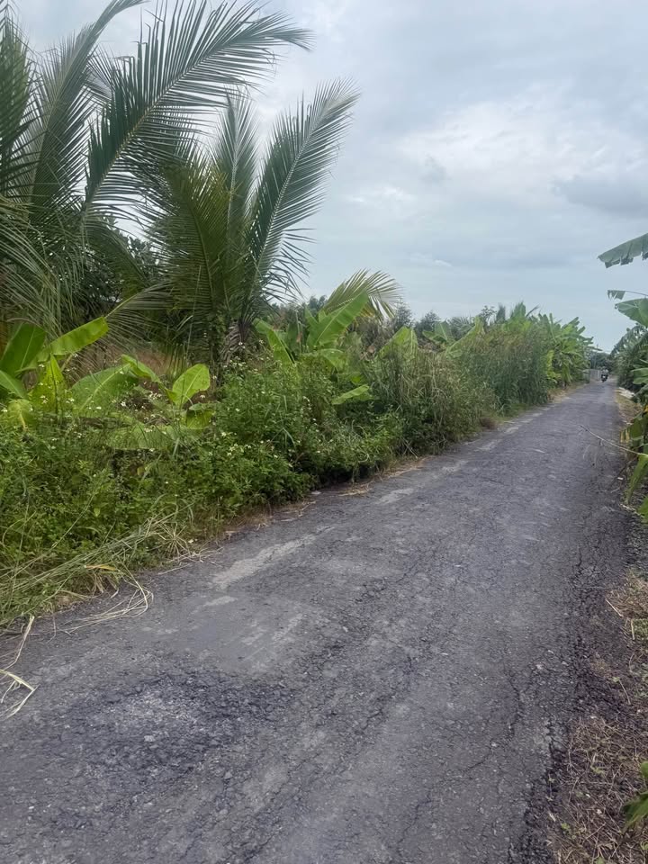 Đất mặt tiền Võ Việt Tân, Mỹ Phước Tây, 240m² - Cơ hội đầu tư tuyệt vời!