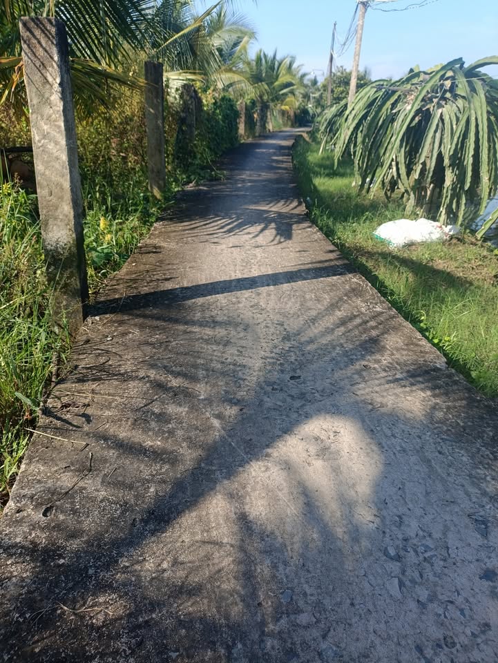 Đất nền Thanh Bình, Chợ Gạo 1500m² giá 1.35 tỷ - Cơ hội đầu tư sinh lời!