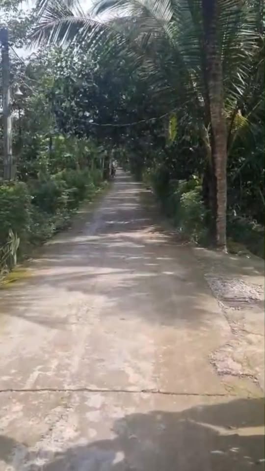 Đất vườn 6.5 công mặt tiền đường ô tô - Giá chỉ 5.525 tỷ tại xã Long Tiên